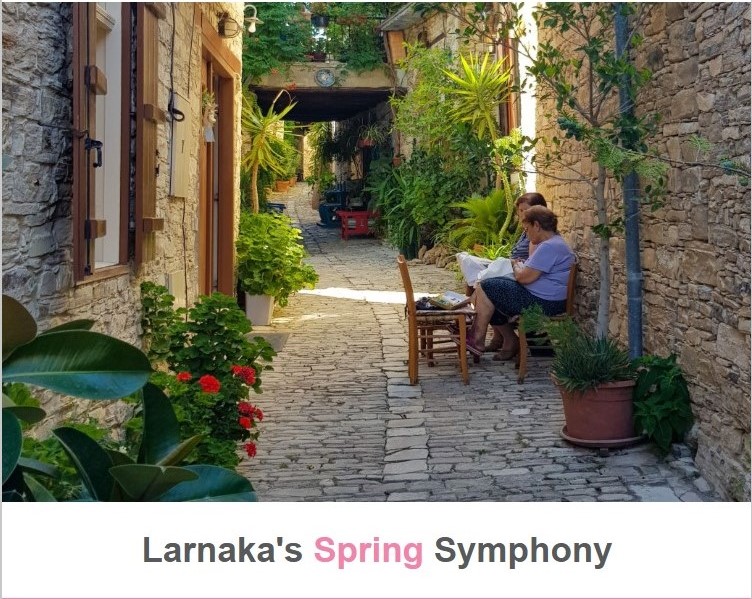 Seasonal Newsletters