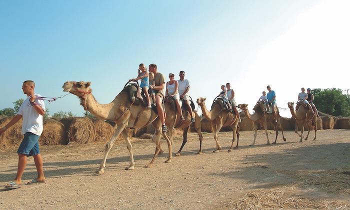 african safari larnaca