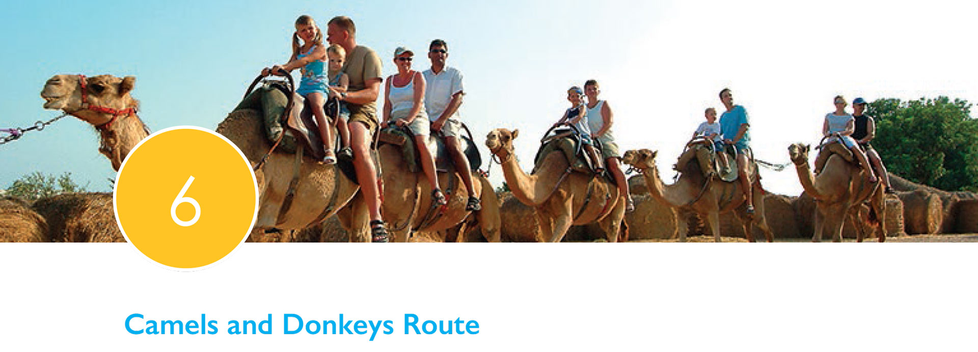camel-and-donkeys-route