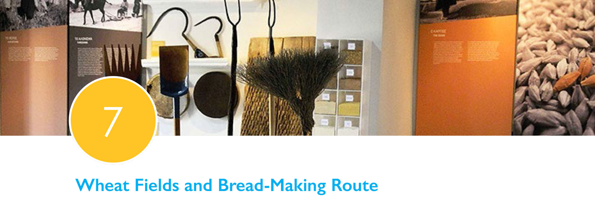 wheat-fileds-and-bread-making-route