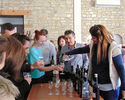 Cypriot Wine Tasting Sessions